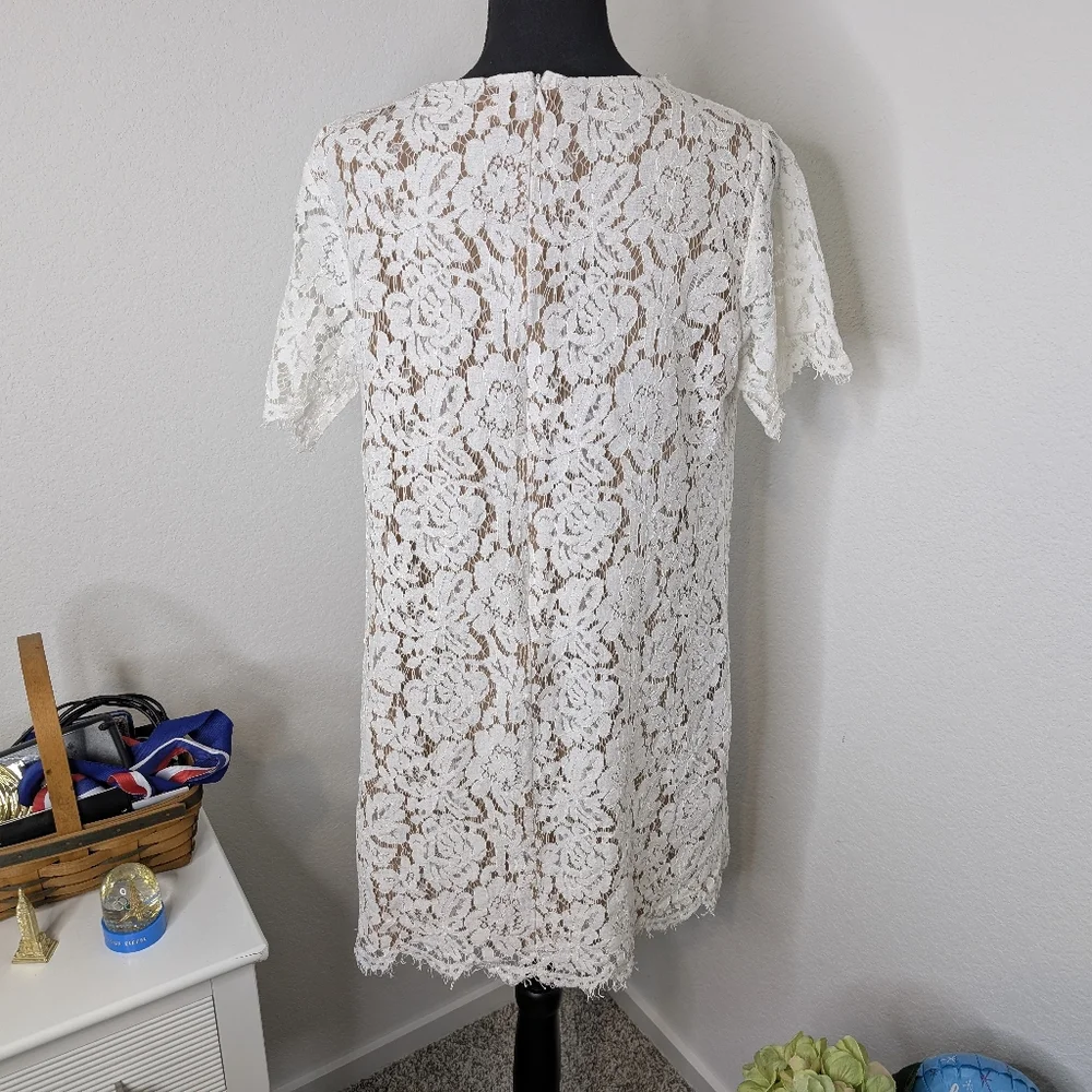 💘 Evie Lace Shift Dress - Picture 3 of 6